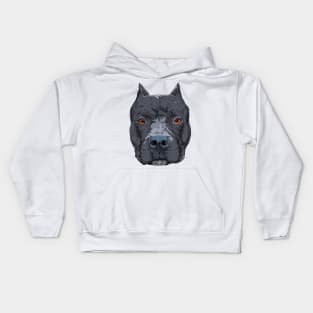 Pit bull face Kids Hoodie